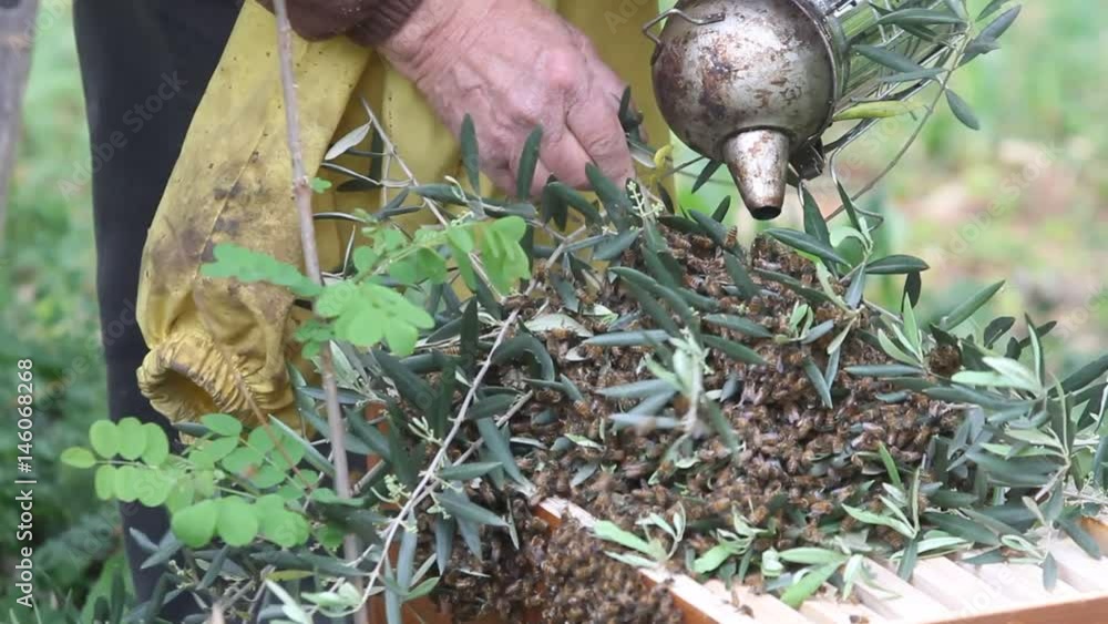 The beekeeper system is the newly swarmed bee swarm The beekeeper system is the newly swarmed bee swarm