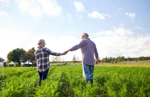 happy senior couple holding hands at summer farm
