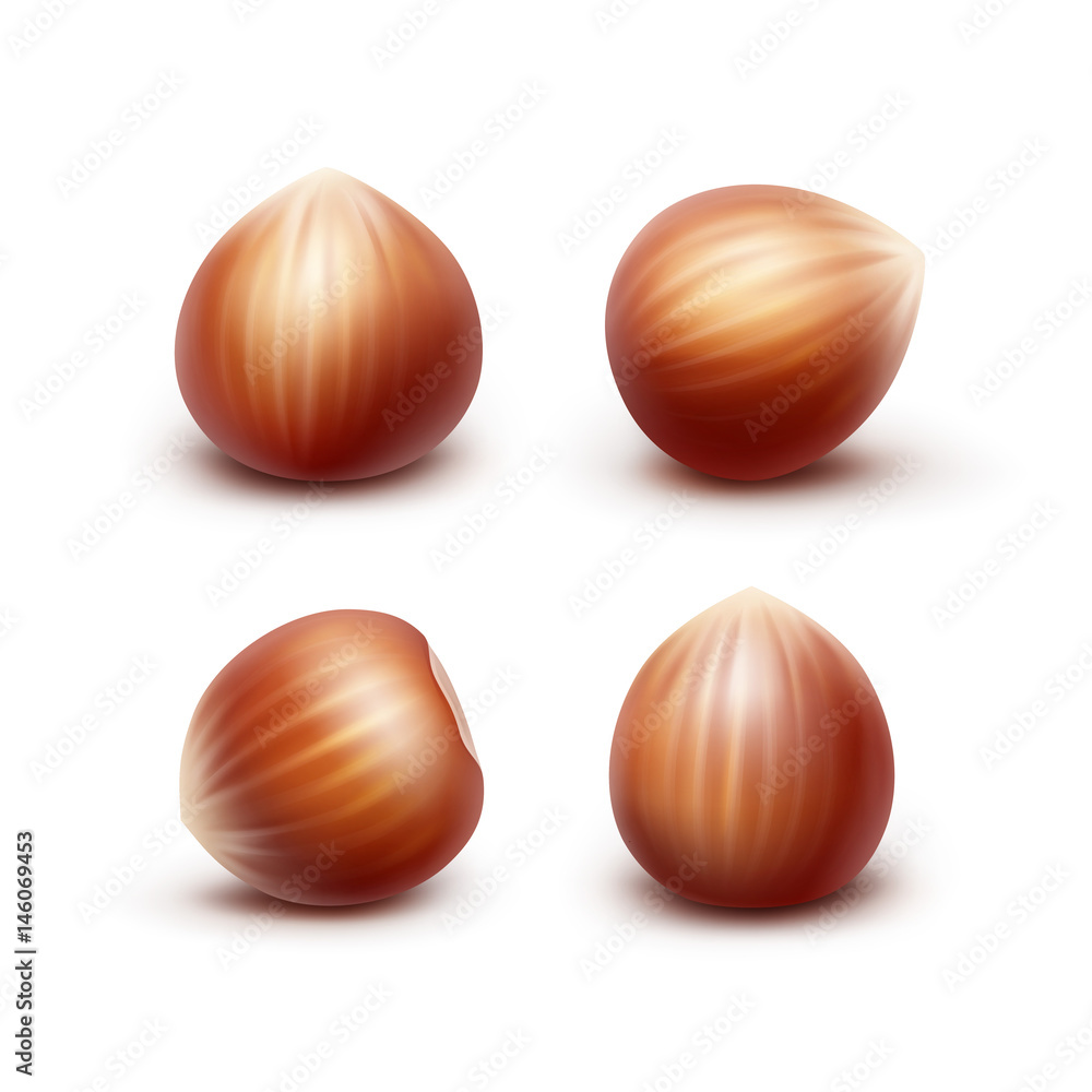 Vector Set of Full Unpeeled Realistic Hazelnuts Close up Isolated on White Background Vector Set of Full Unpeeled Realistic Hazelnuts Close up Isolated on White Background
