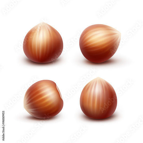 Vector Set of Full Unpeeled Realistic Hazelnuts Close up Isolated on White Background