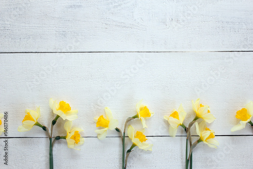 Fototapeta Naklejka Na Ścianę i Meble -  Flowers of daffodils, daffodils on white boards