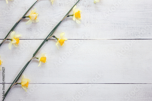 Fototapeta Naklejka Na Ścianę i Meble -  Flowers of daffodils, daffodils on white boards