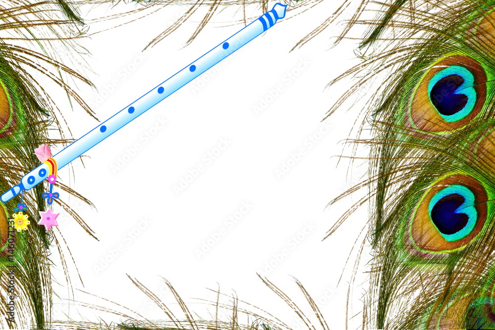 Peacock Feather And Flute Hd