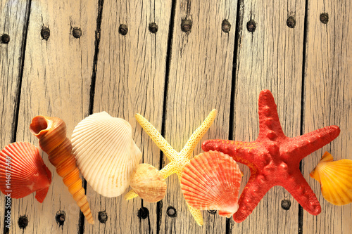 Collection of sea shells and stars photo