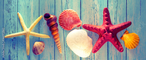 Collection of sea shells and stars photo