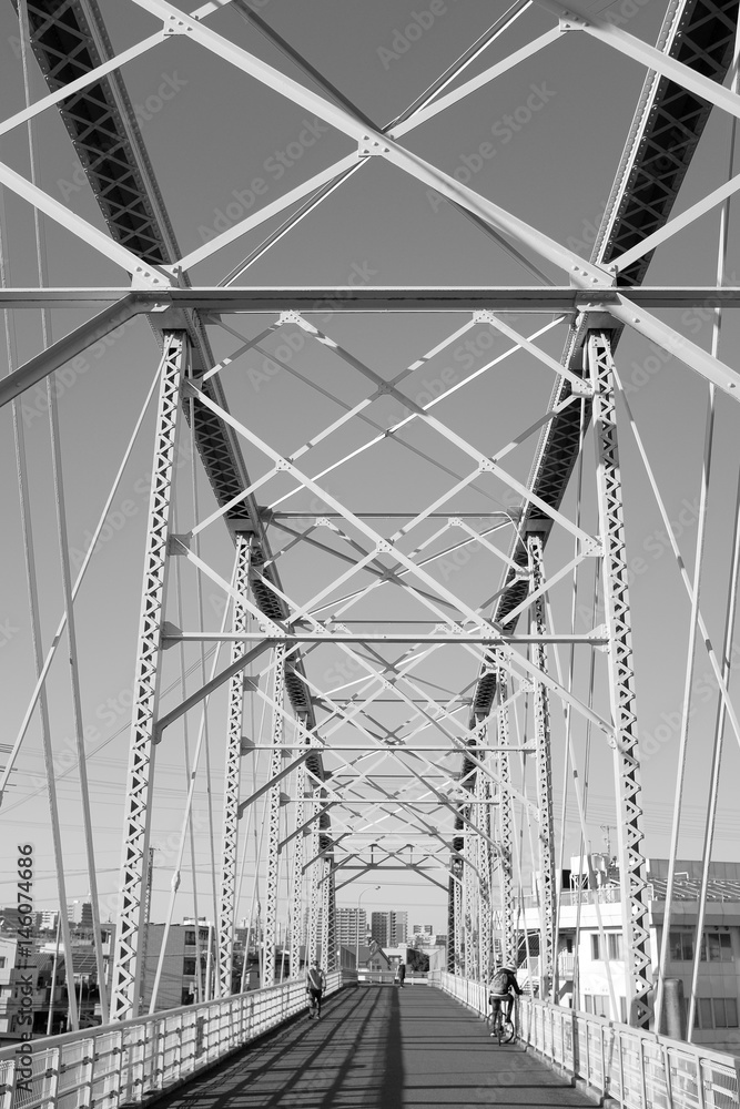 Fototapeta premium 鉄橋