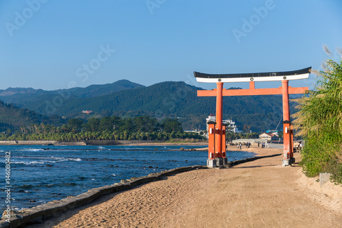 Torii in Aoshima Shrine of Japan