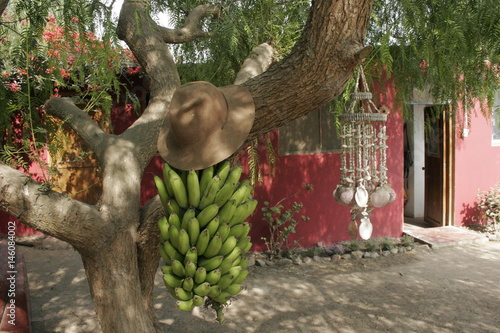 racimo de plátanos