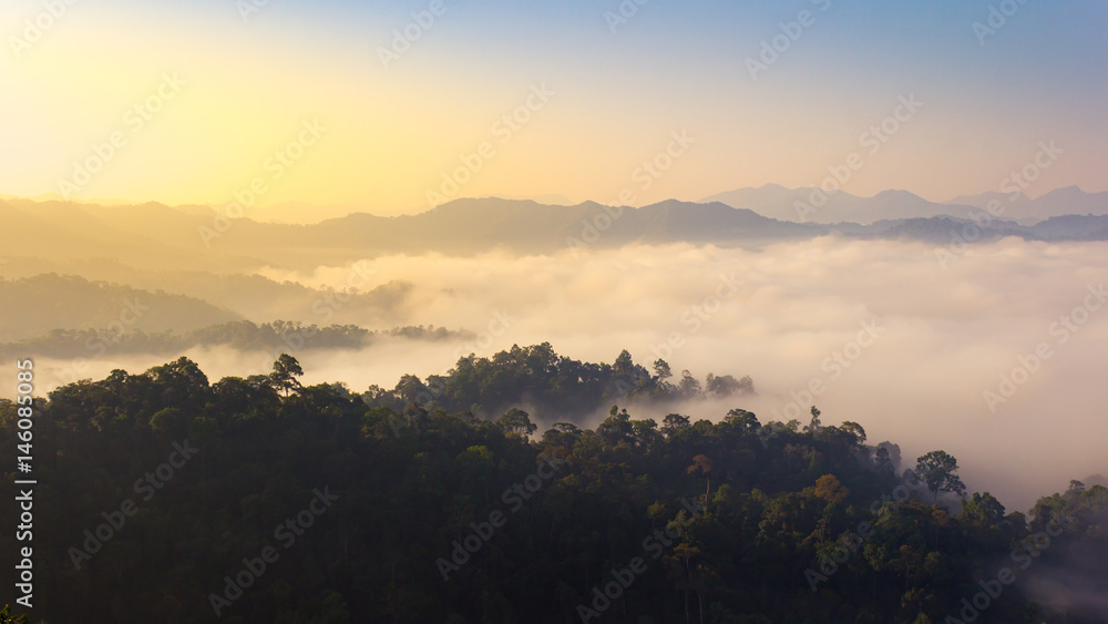 mountain valley during bright sunrise.Mist on the mountain