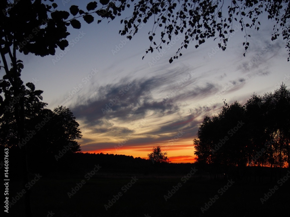 Fototapeta premium OLYMPUS DIGITAL CAMERA