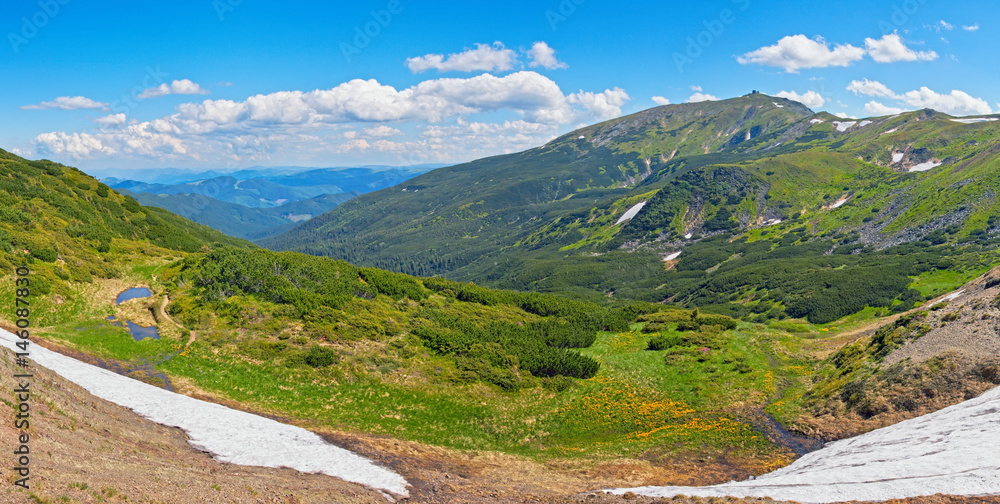Summer Carpathian mountain panorama Summer Carpathian mountain panorama
