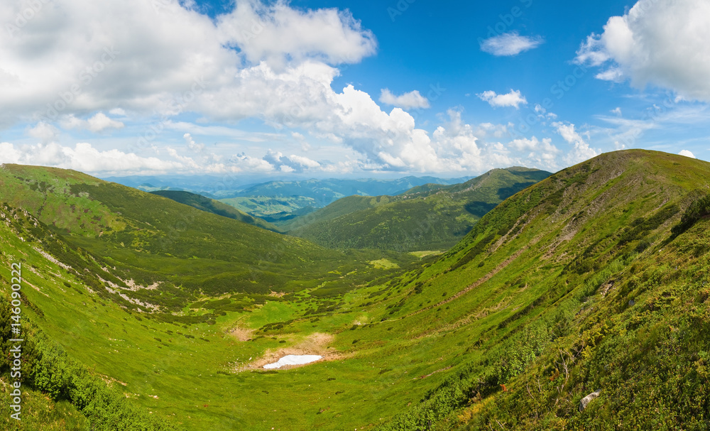 Naklejka premium Summer mountain meadow panorama