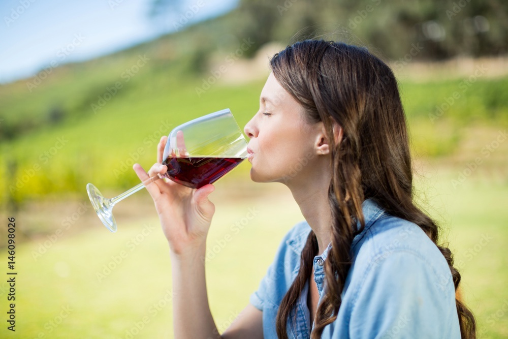 Fototapeta premium Side view of woman drinking red wine