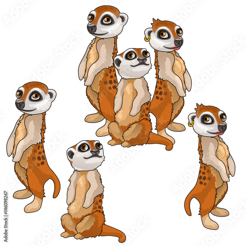 Funny family of meerkats. Vector animals isolated