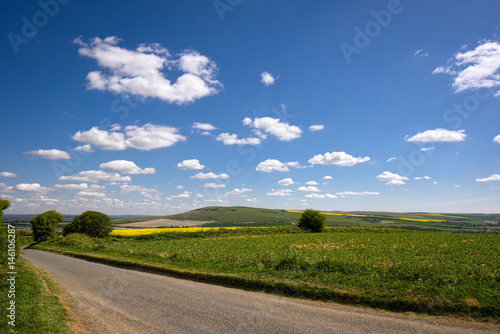 Road through the Rolling Sussex Countryside