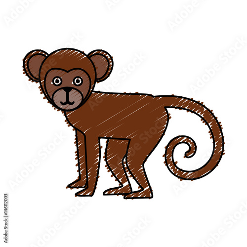 Titi monkey isolated icon vector illustration design