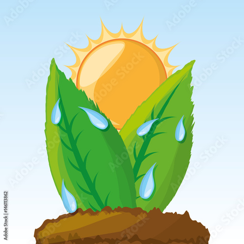 photosynthesis process in the plants, vector illustration