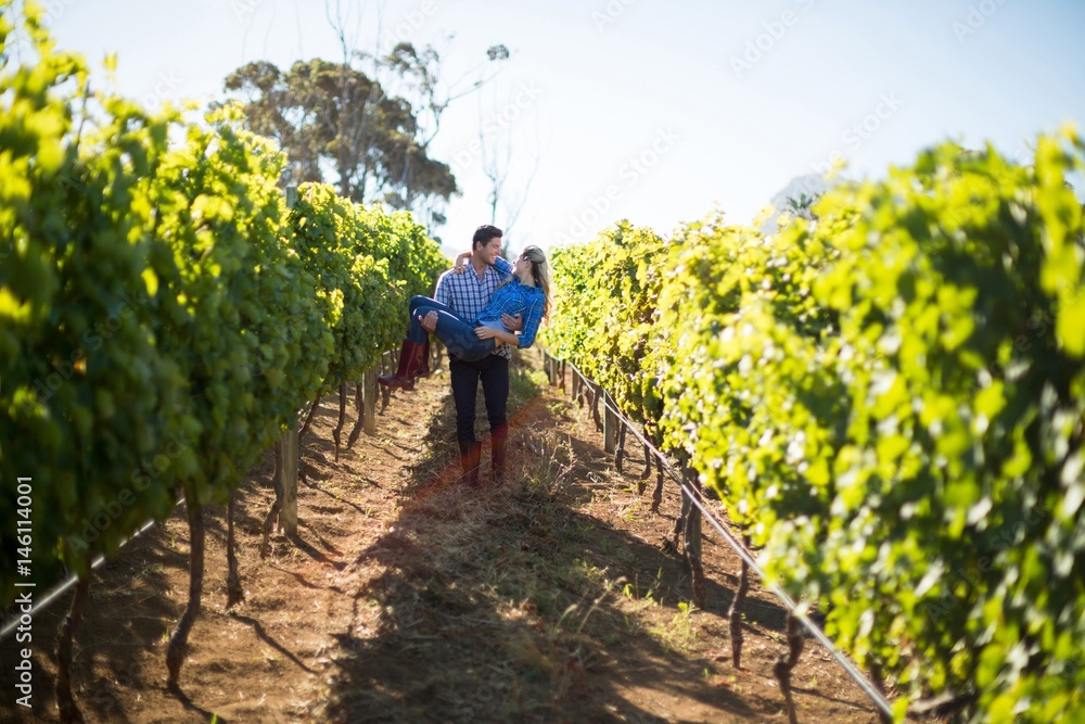 Man carrying his girlfriend amidst plants at vineyard