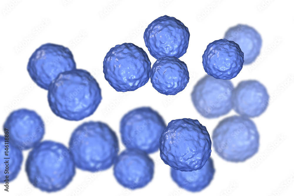 Bacteria Enterococcus isolated on white background, 3D illustration. Gram-positive cocci which cause infant endocarditis and other infections Bacteria Enterococcus isolated on white background, 3D illustration. Gram-positive cocci which cause infant endocarditis and other infections
