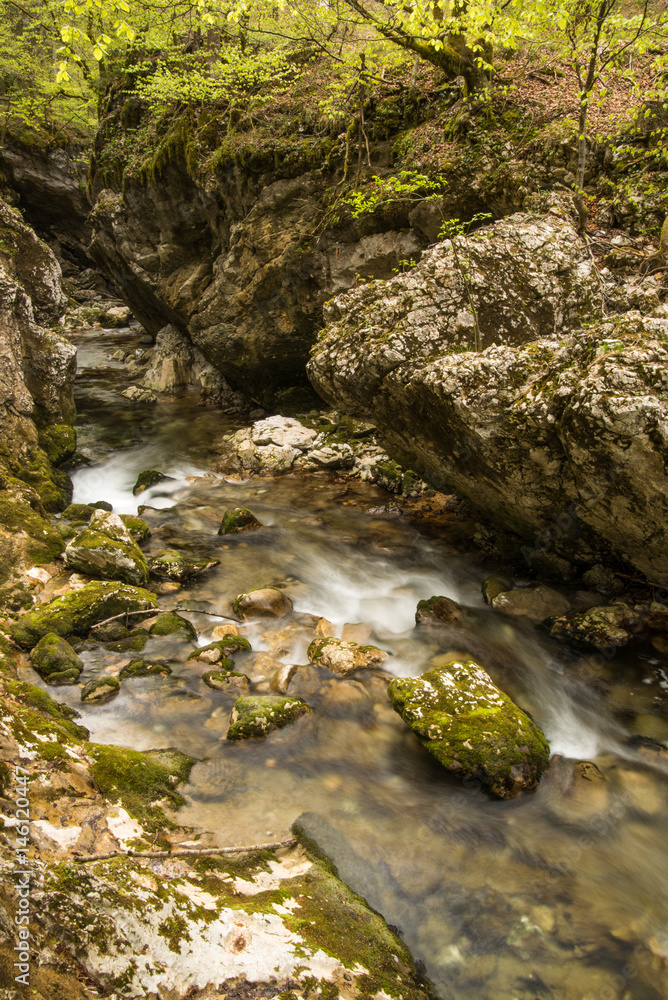 Scenic Mostnice gorge near Bohinj lake in Slovenia Scenic Mostnice gorge near Bohinj lake in Slovenia