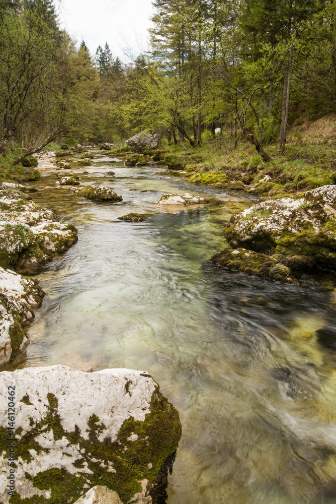 Scenic Mostnice gorge near Bohinj lake in Slovenia Scenic Mostnice gorge near Bohinj lake in Slovenia