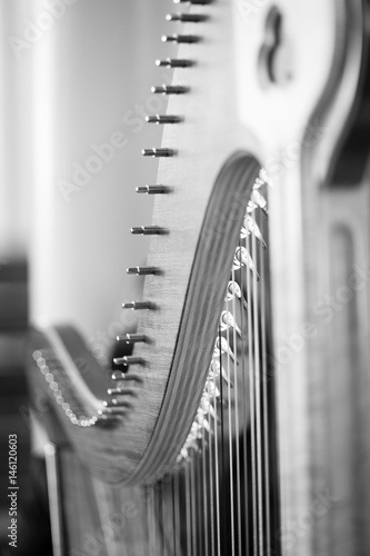 Harp