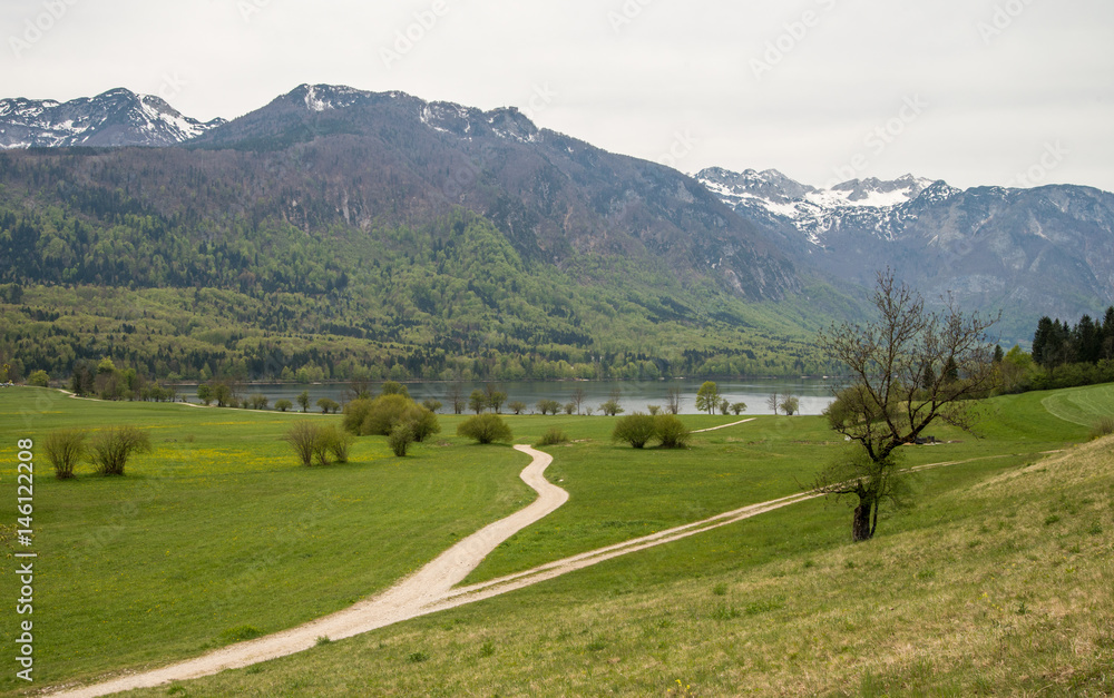 Scenic glacier Bohinj lake and its green surrounding in Slovenia during spring time