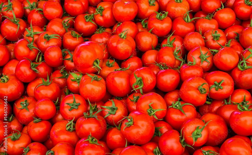 group of red tomatoes group of red tomatoes
