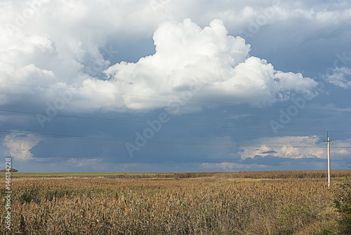 over a field of a cloud