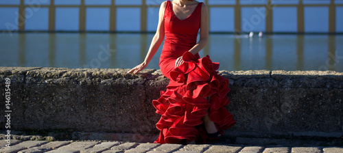 The red passion of the flamenco dress