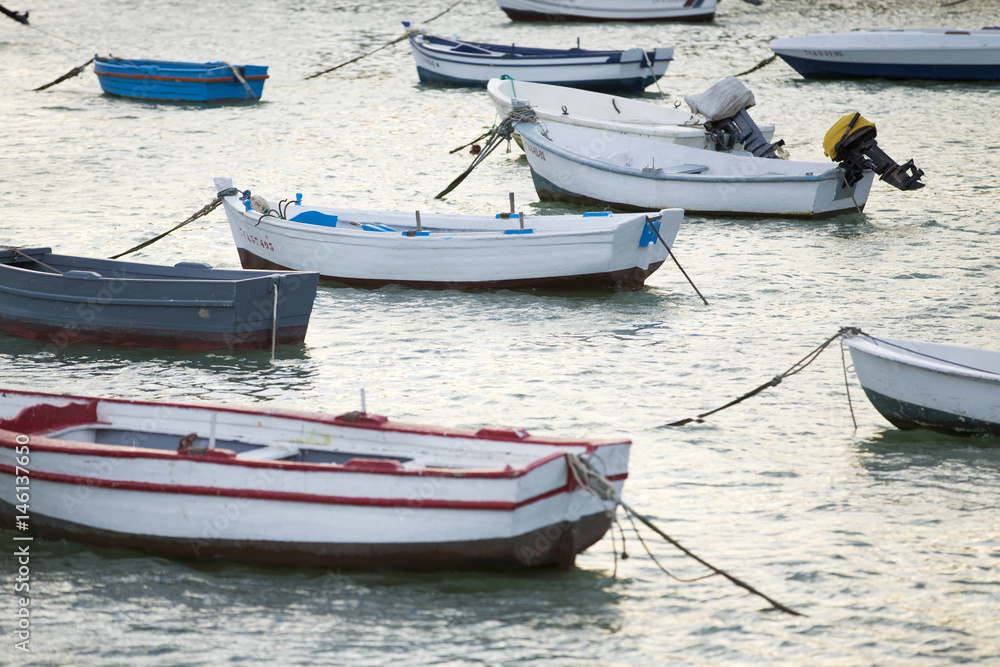 Fishing boats on the sea