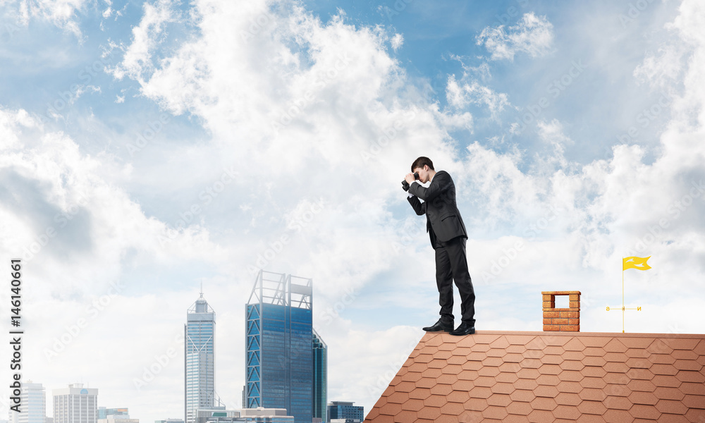 Mister boss on brick roof in search of something new. Mixed media Mister boss on brick roof in search of something new. Mixed media