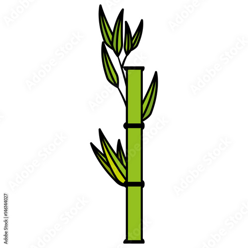Bamboo japanese tree icon vector illustration graphic design