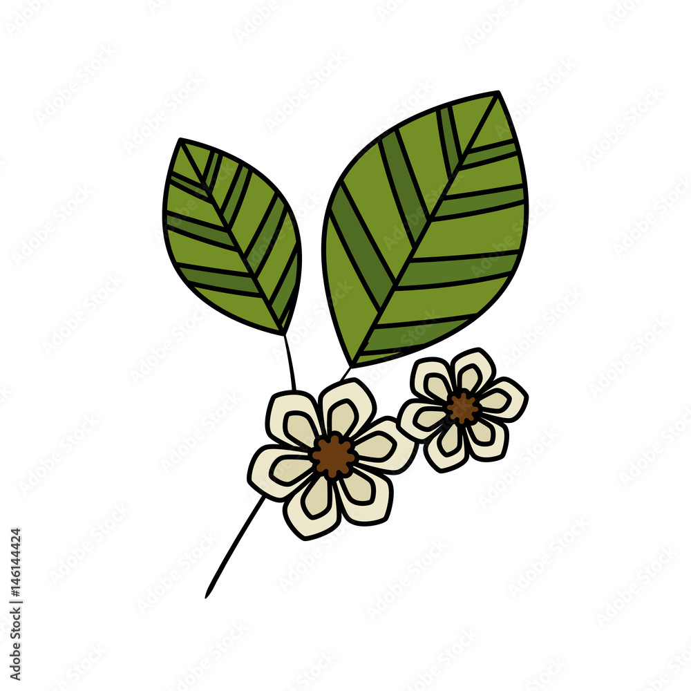 Obraz premium Leaf natural ecology icon vector illustration graphic design