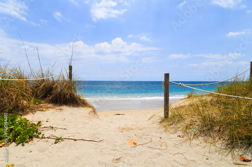 path to tropical beach in Florida.