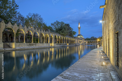 The pool of sacred fish photo