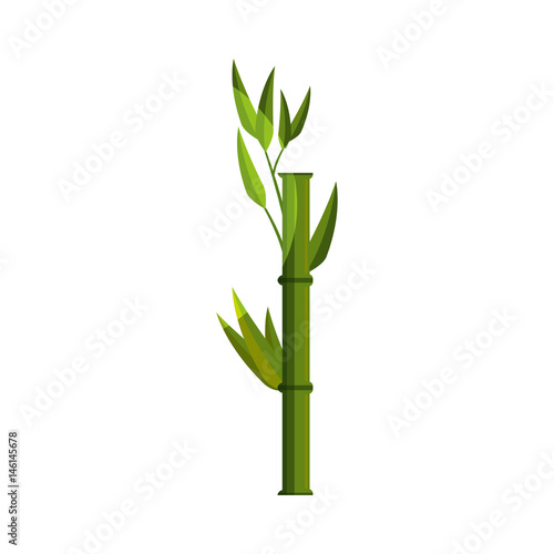 Bamboo japanese tree icon vector illustration graphic design