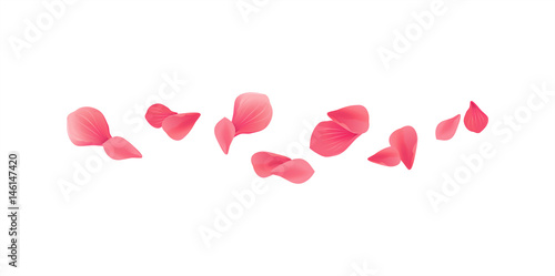 Pink Red flying petals isolated on white background. Sakura Roses petals. Vector EPS 10, cmyk 