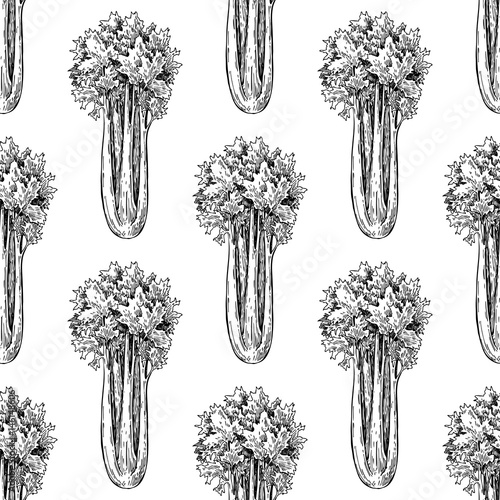Celery hand drawn vector seamless. Isolated Vegetable engraved style wallpaper. Detailed vegetarian food