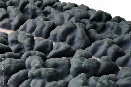 Cavolo nero macro also known as lacinato kale