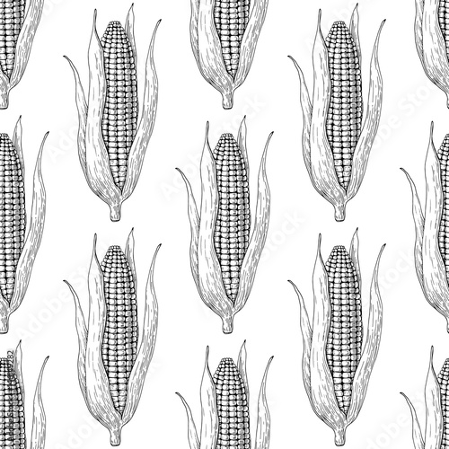 Corn cob hand drawn vector seamless pattern. Isolated Vegetable engraved style wallpaper.