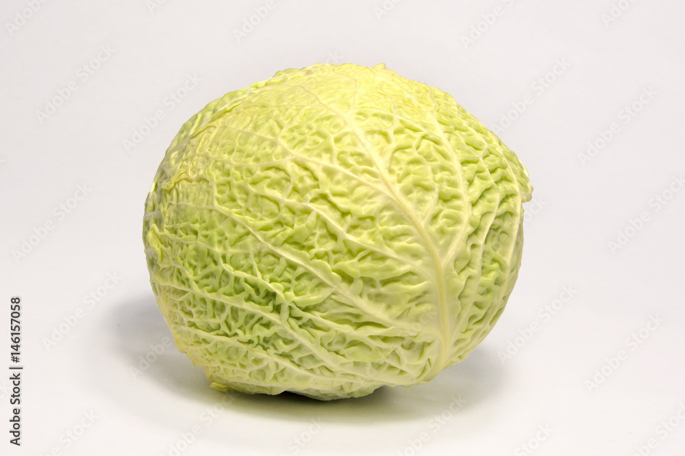 Fototapeta premium Healthy fresh cabbage