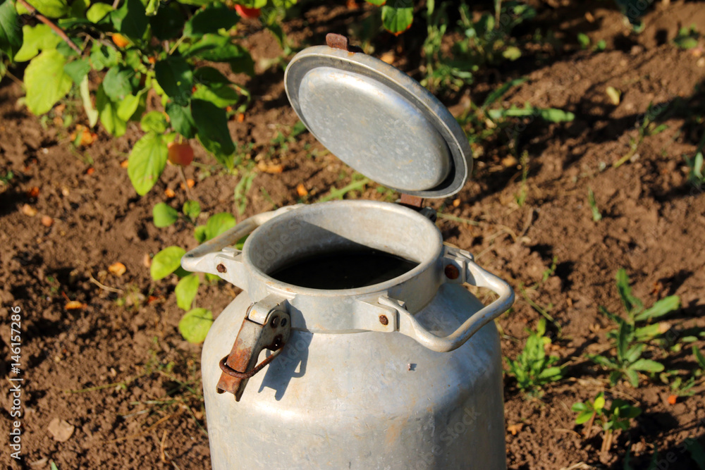 Old metal water can with an opened lid in the summer garden Old metal water can with an opened lid in the summer garden