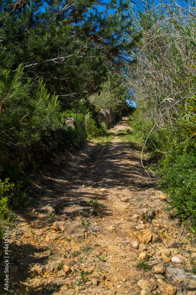 Obraz premium gravel path to sky