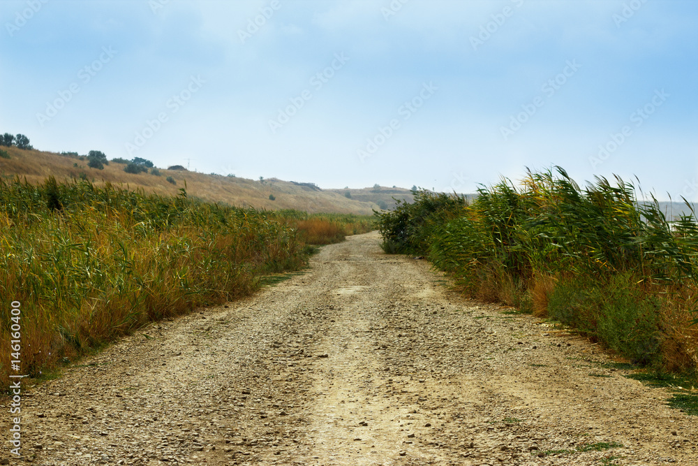 Obraz premium Autumn path in a field with hills