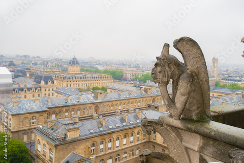 Notre Dame Gargoyle © Daniel L Grantham Jr