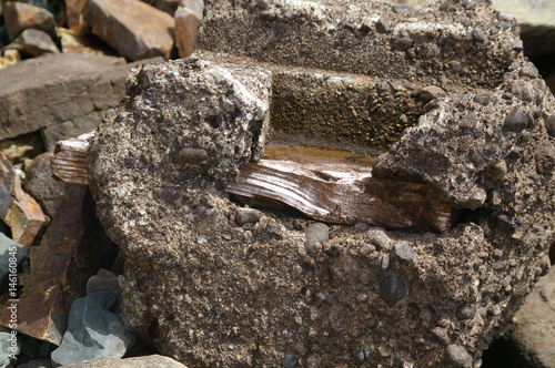 wood in the rock