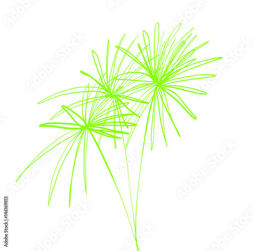 Colorful hand drawn abstract transparent silhouette of green palms on the white background, isolated illustration painted by pen, high quality © L