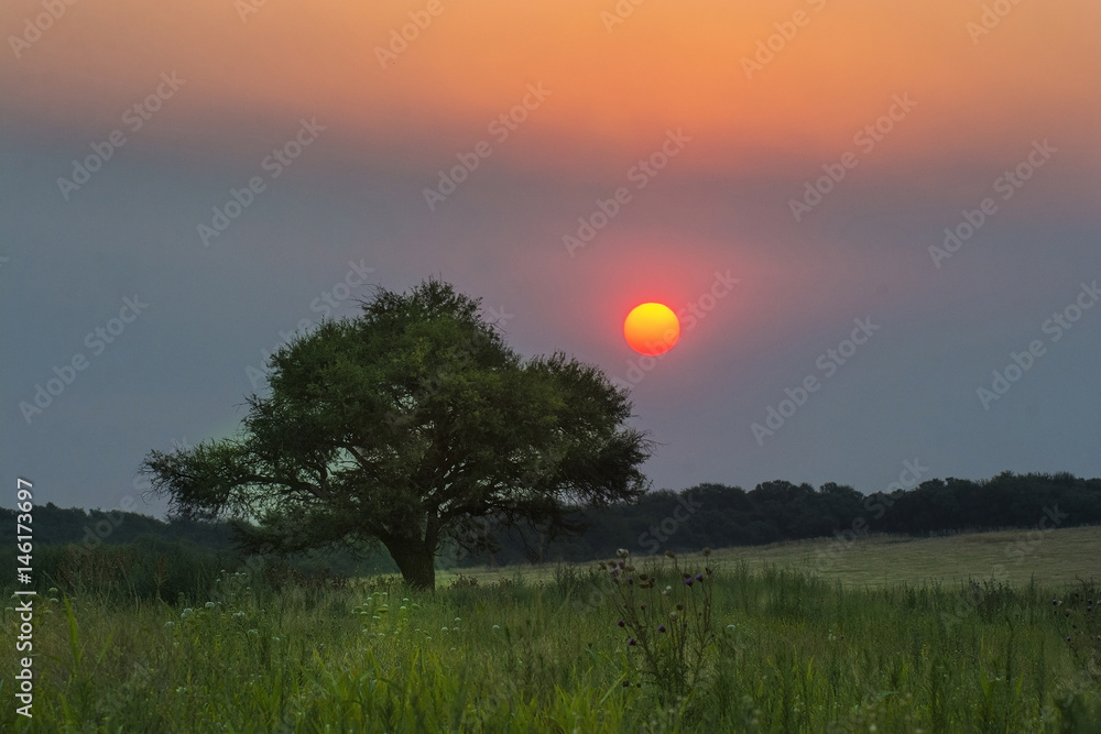 Pampas landscape, Argentina Pampas landscape, Argentina