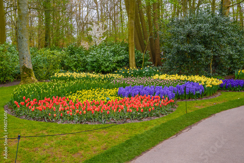 Tuilps and other flowers in Keukenhof park, Lisse, Holland, Netherlands.